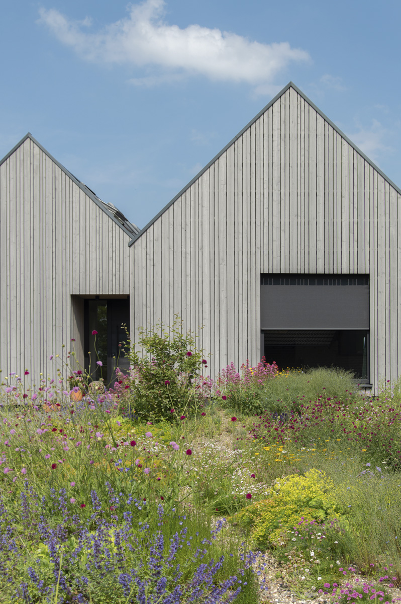 与自然和谐共生的家庭木屋丨GROSCHE BURGMER ISENSEE Architekten-22