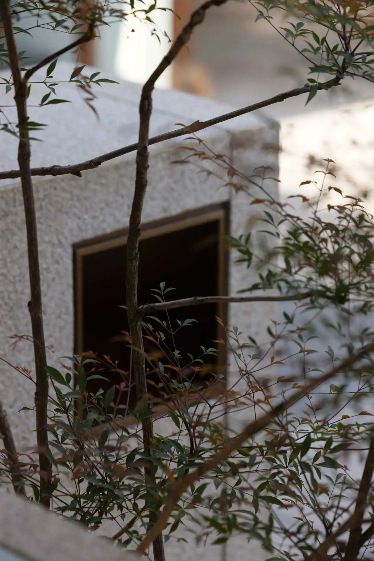 小茶栽堂丨中国无锡丨无锡欧阳跳建筑设计有限公司-39