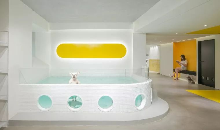 杭州NOVA PETS宠物咖啡店-29