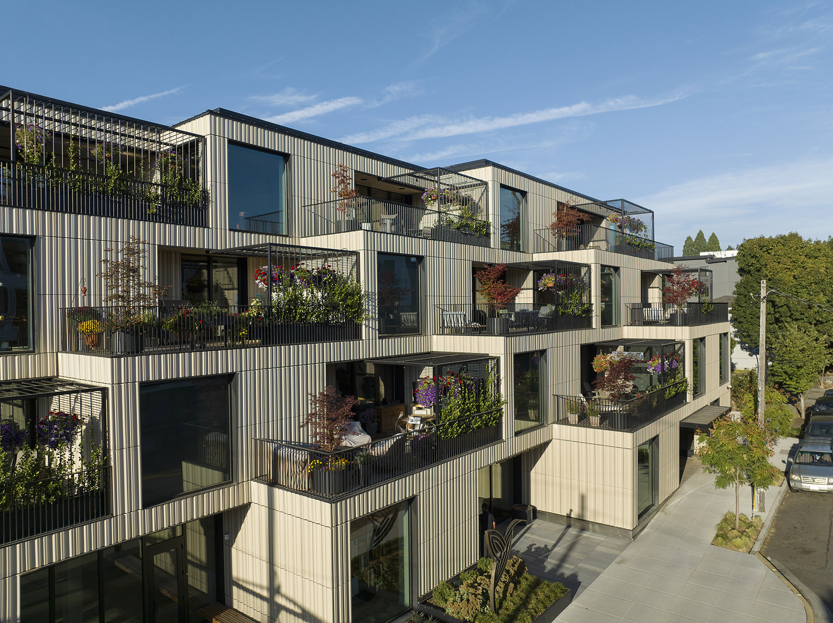 Ellen Browning大楼丨美国波特兰丨CAMERON MACALLISTER GROUP-6