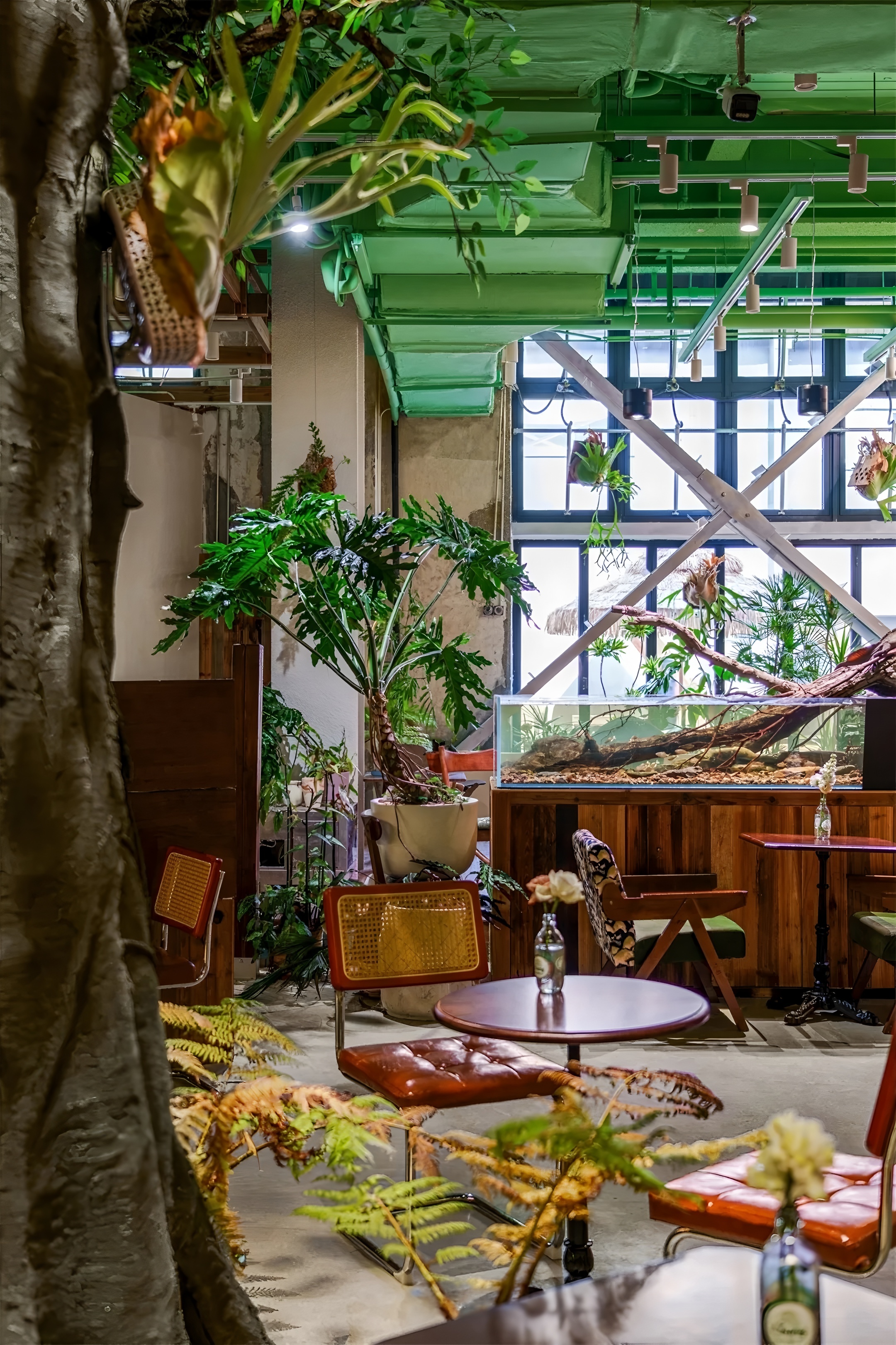 《绿觅 · 尾巴屋》西安宠物店丨中国西安丨陕西梁辰造物建筑设计-33