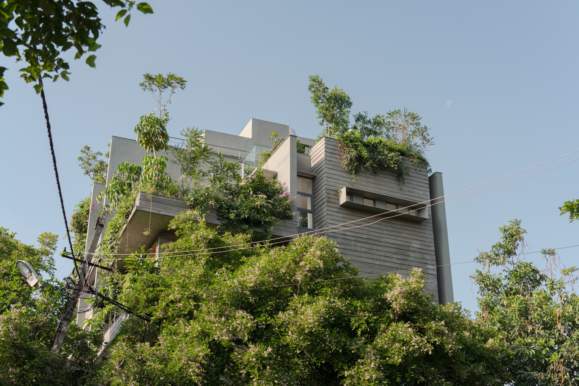 阶梯井屋丨印度班加罗尔丨A Threshold-40