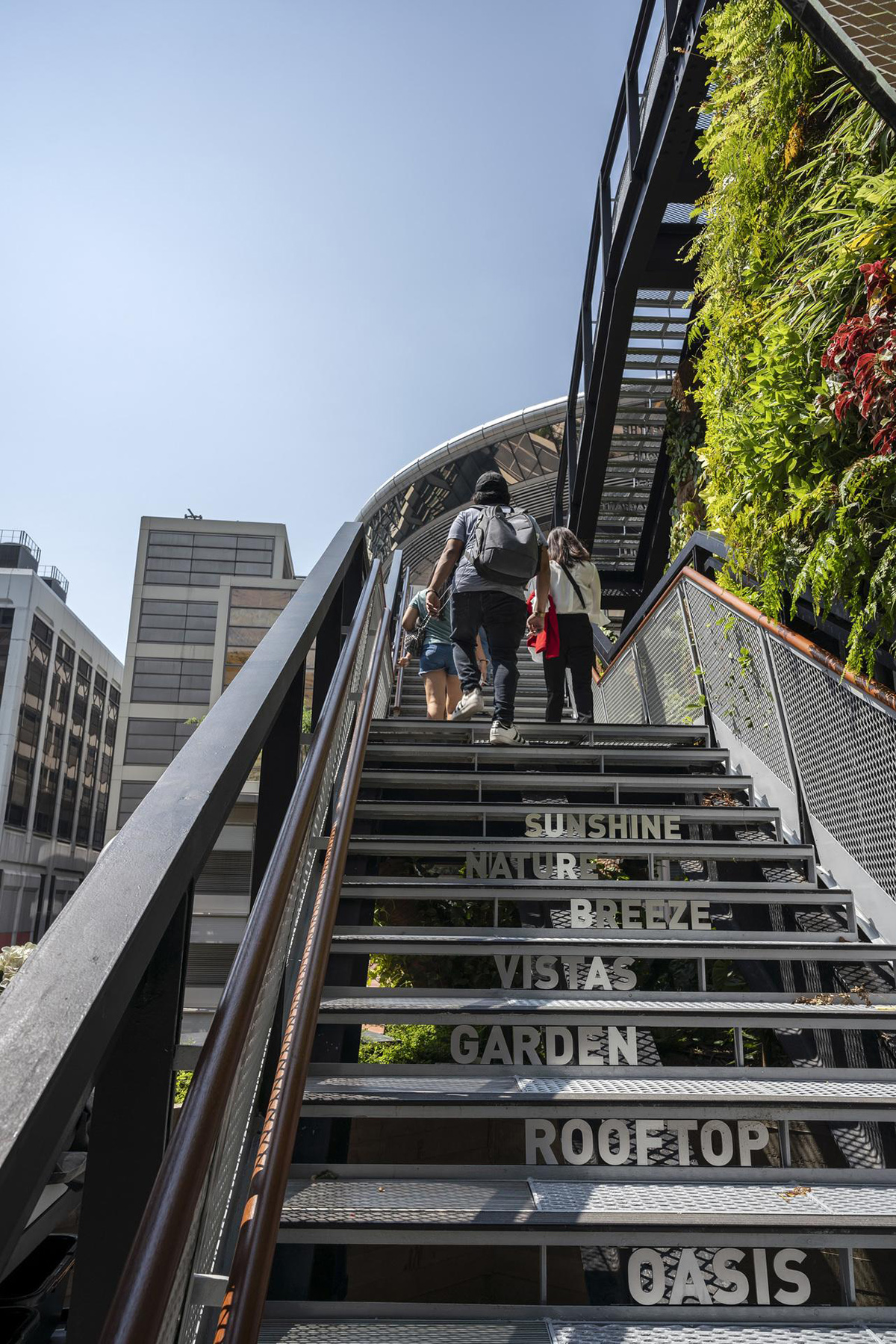 Funan 商业综合体丨新加坡丨Woods Bagot-21