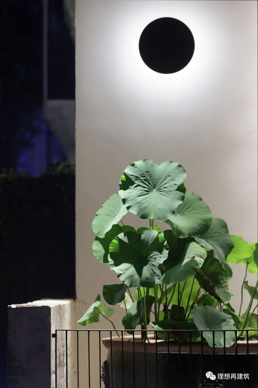 湖畔幽香,品味时光——合肥滨湖金融港 A8 精品私厨设计-19