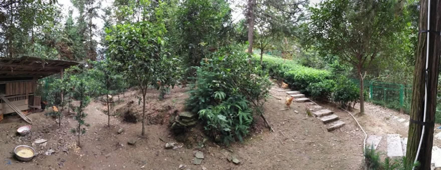 湖南益阳双公山居私宅设计-9