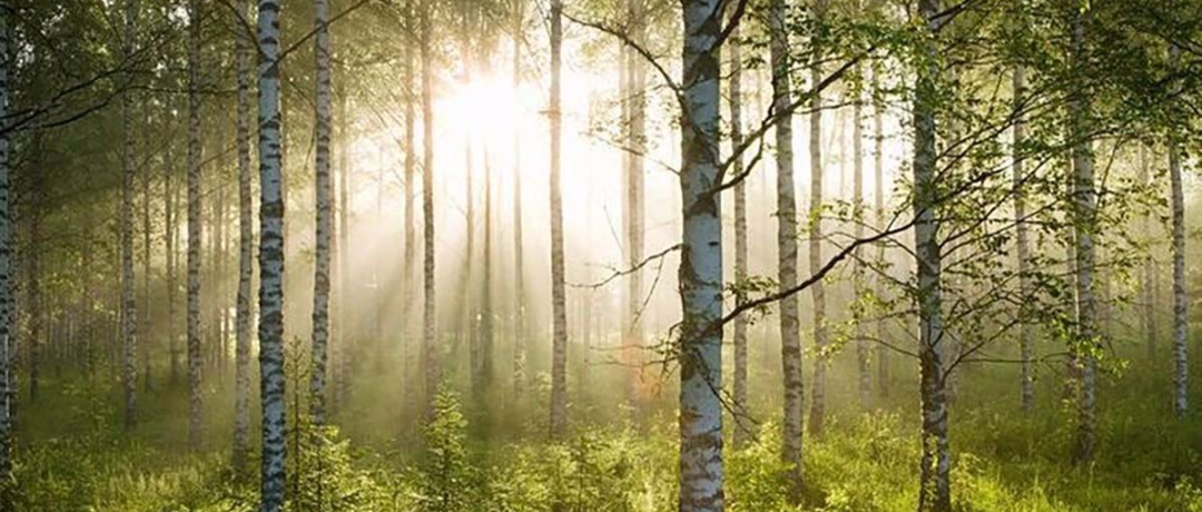 东京混凝土洞穴·极简主义私人住宅丨日本东京丨Suppose Design Office-77