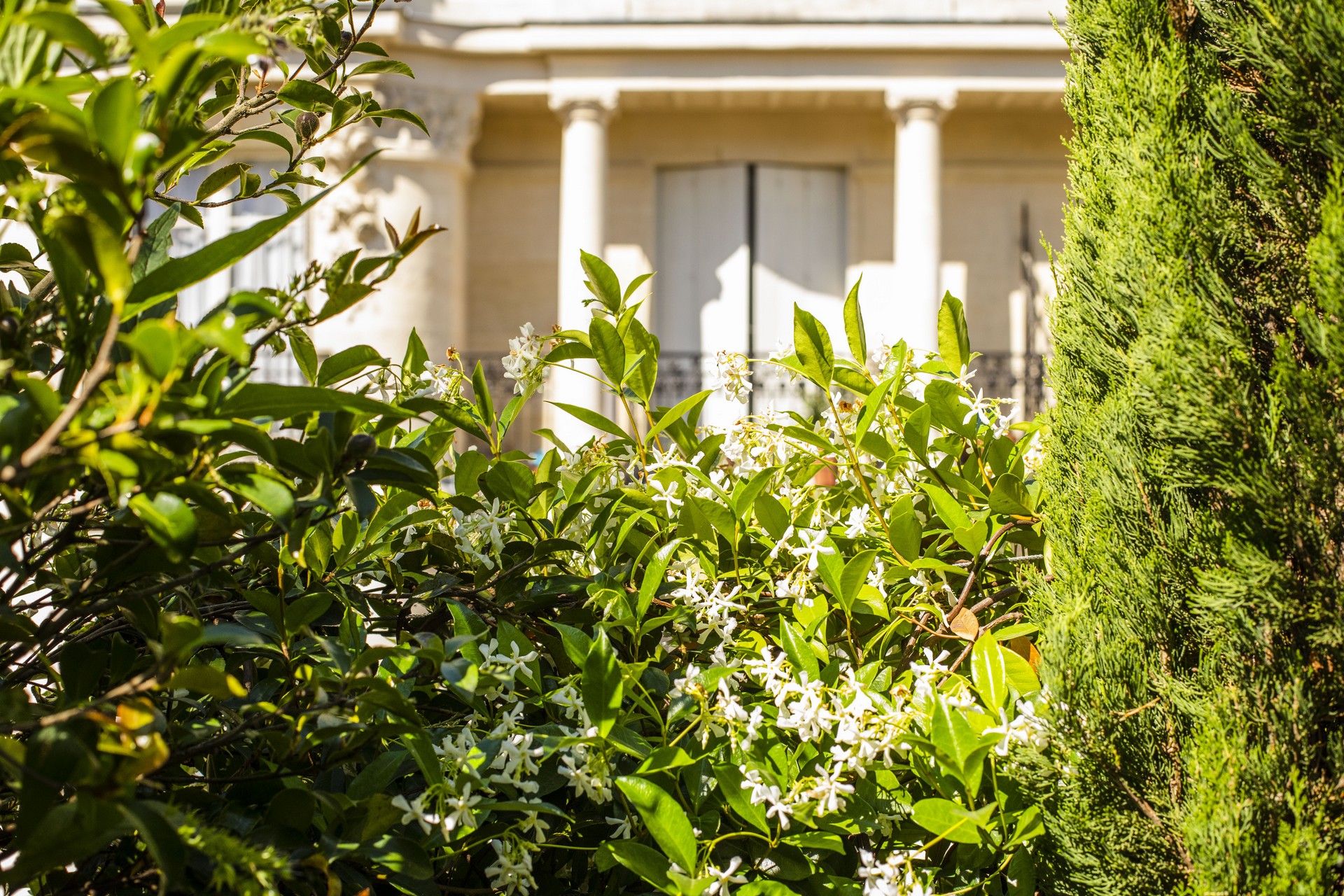 巴黎35平方米露台景观设计丨法国巴黎丨Opus Paysage  Alexandre Tonnerre-3