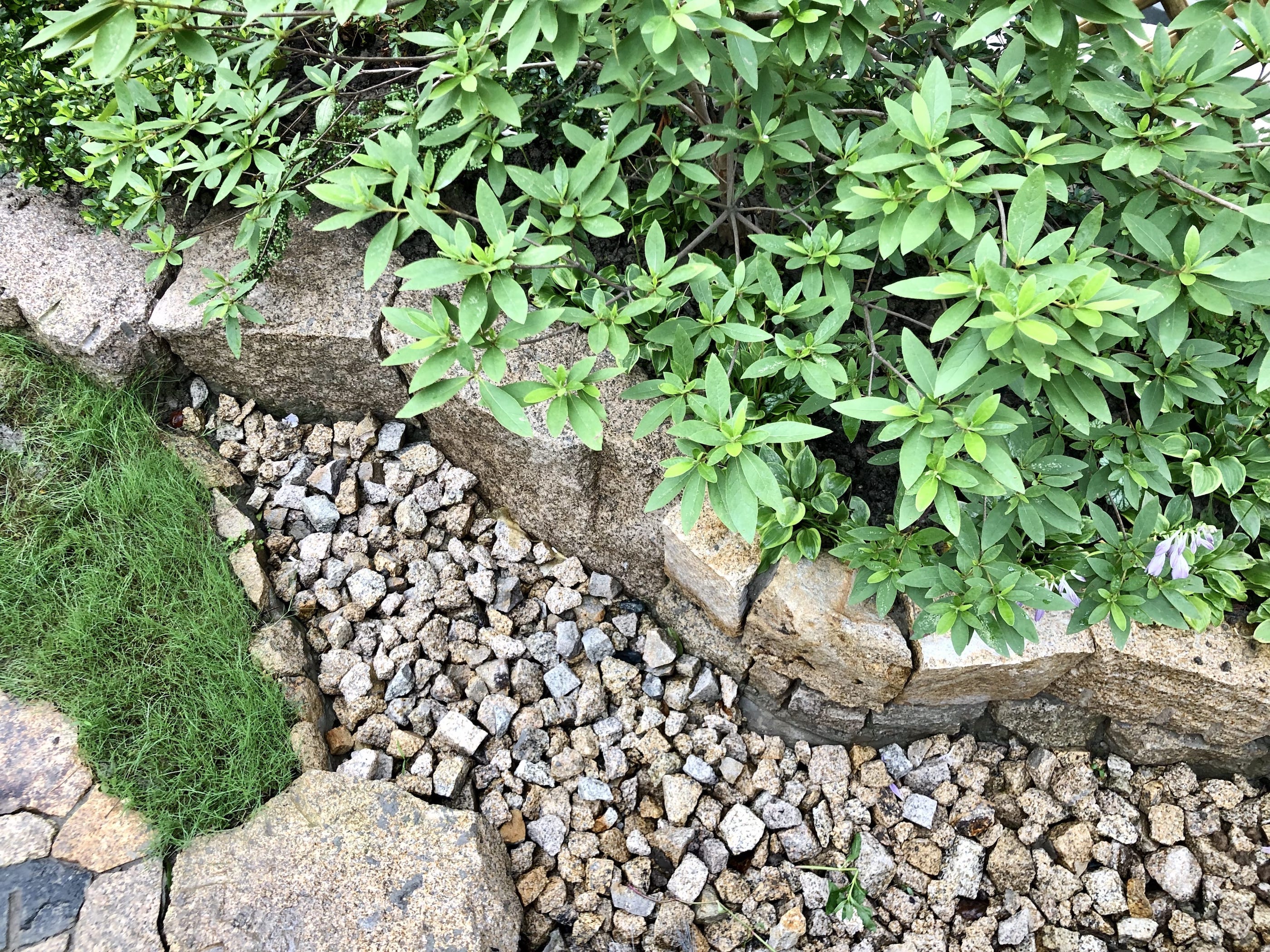 上海私邸·怡庭丨中国上海-53