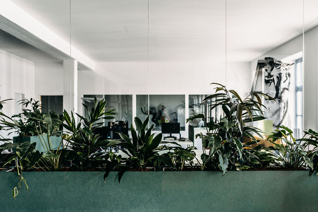 INpuls 办公室 | 绿色创意空间与吸音设计-11