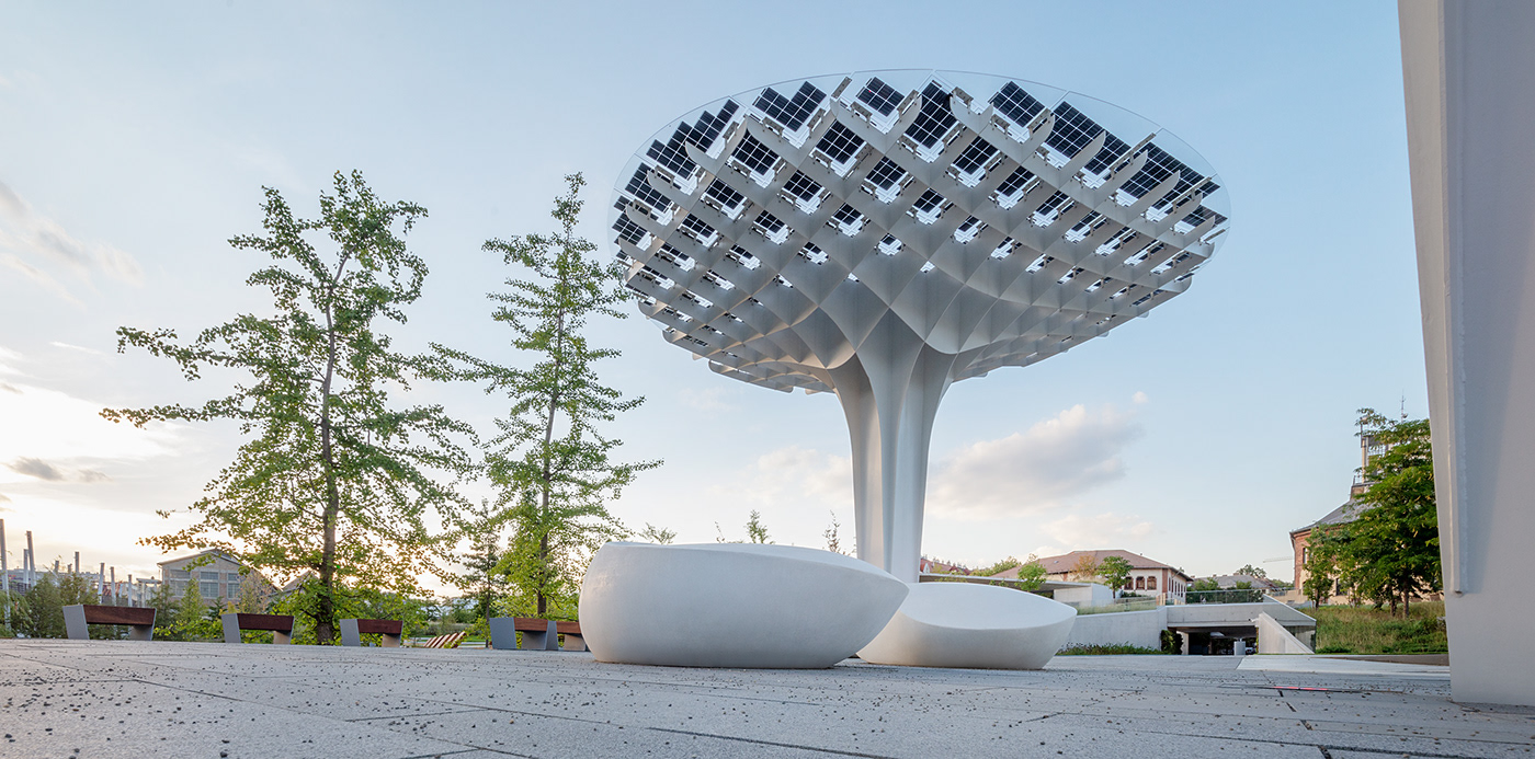 风之门丨Anastasiya Gushchina-8