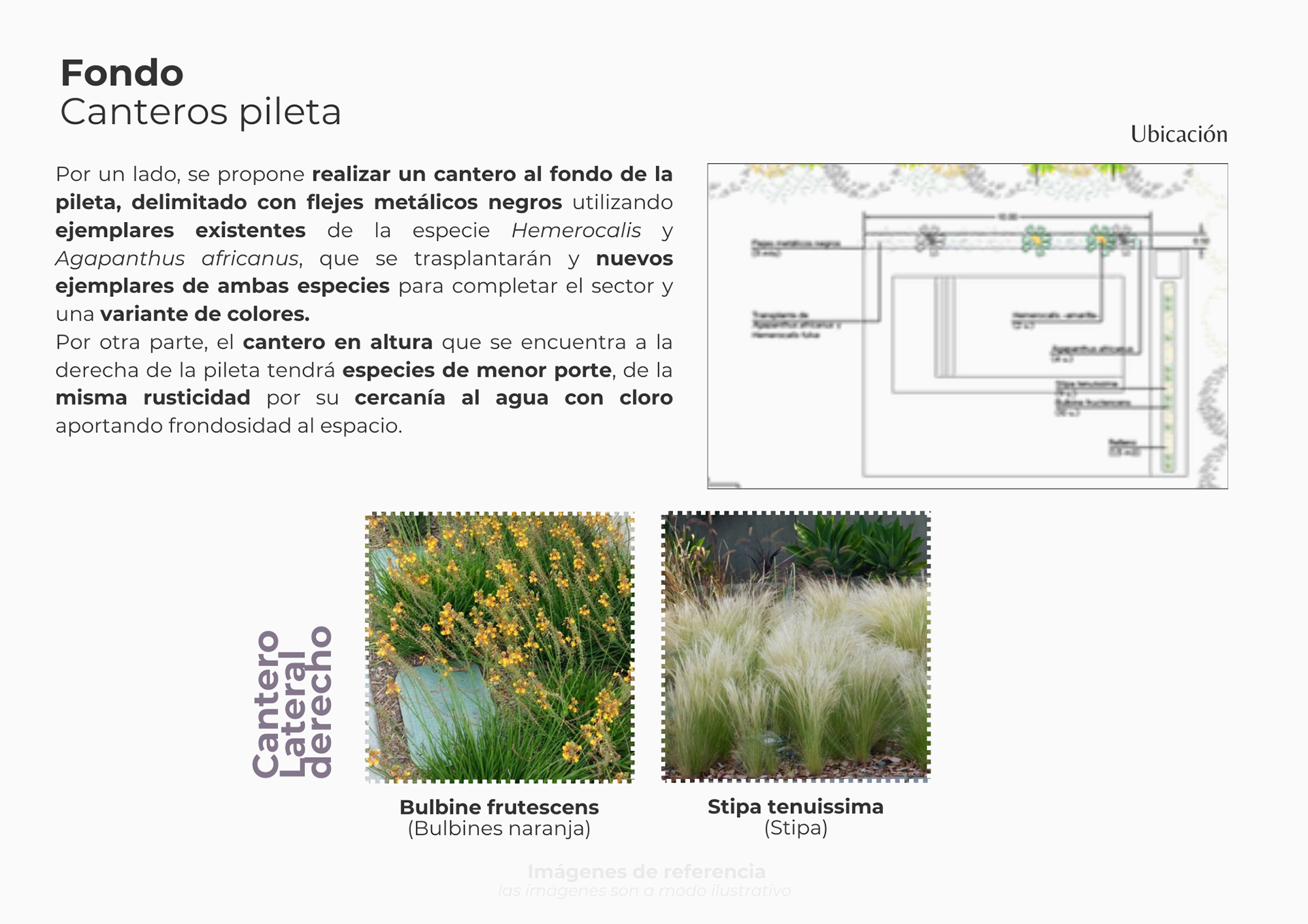 Multiespacio | Proyecto freelance-7