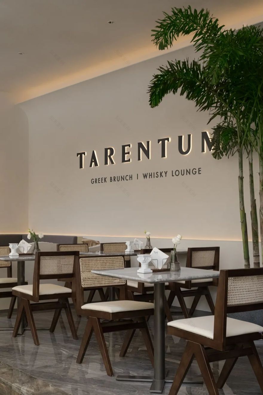 TARENTUM 萄木丨中国深圳丨RBD DESIGN BOX 瑞本设计-3