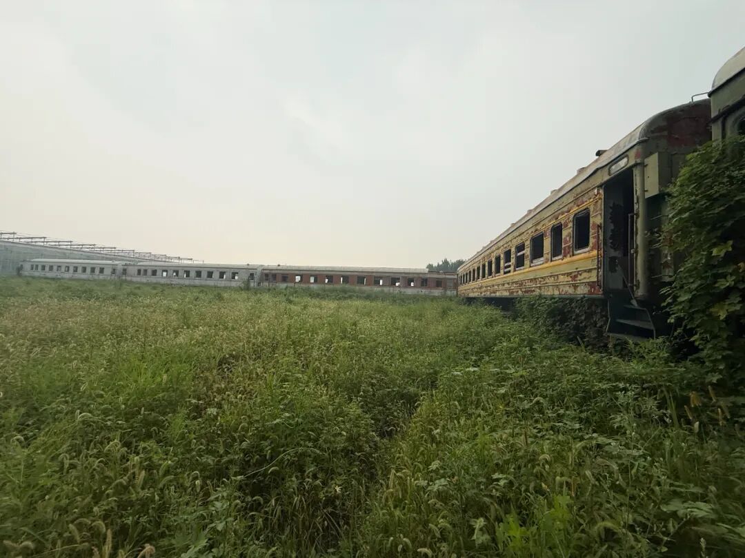 为什么要做废墟艺术计划-22