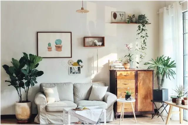 两个小女生,造了一间全镇上最文艺的花房,从此与花草为伴-71