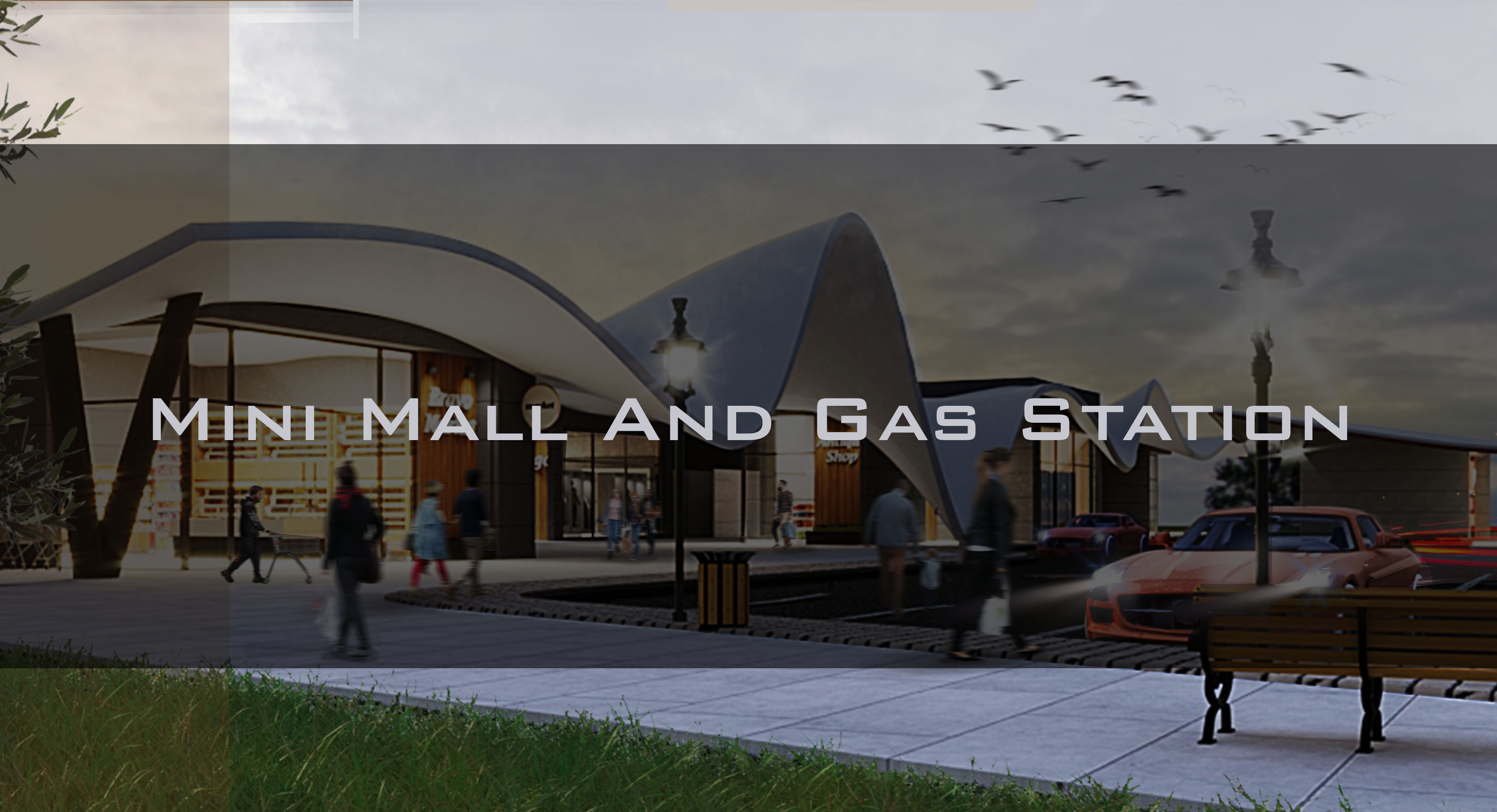 Mini Mall And Gas Station-0