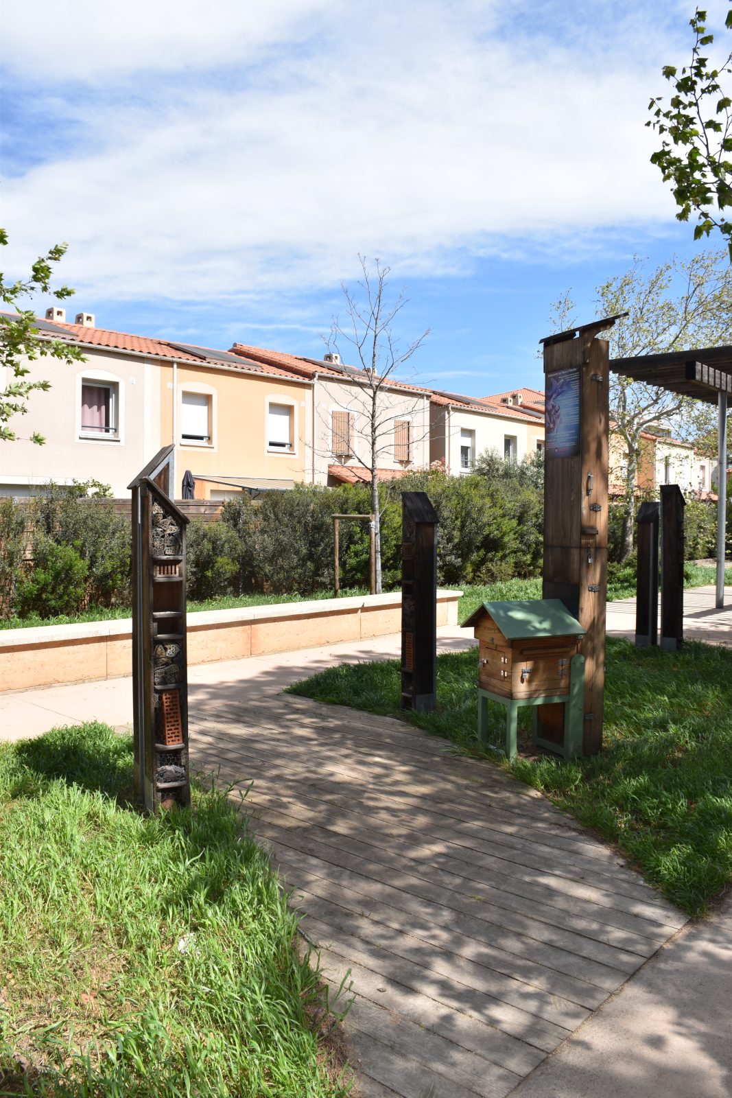 Boulevard Théodore  Aubanel 道路改造项目-52