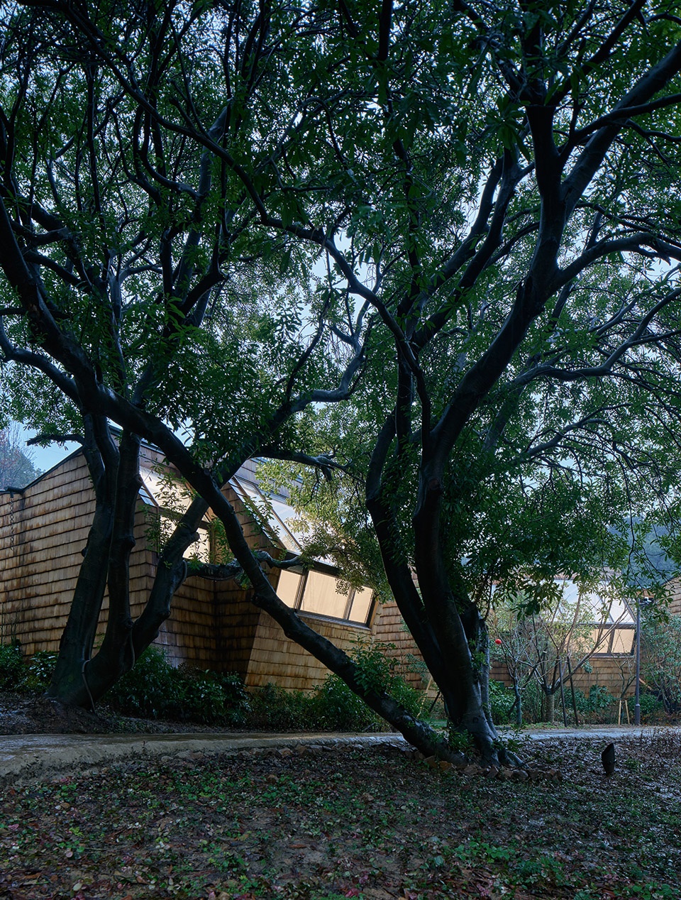 杭州开元森泊度假乐园·星立方-17