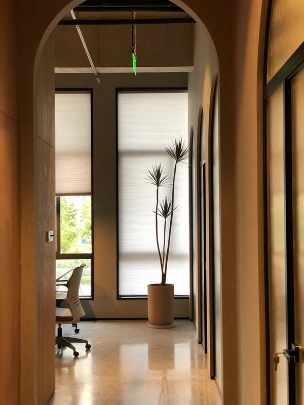 东宇物流办公室丨中国浙江丨MIST-7