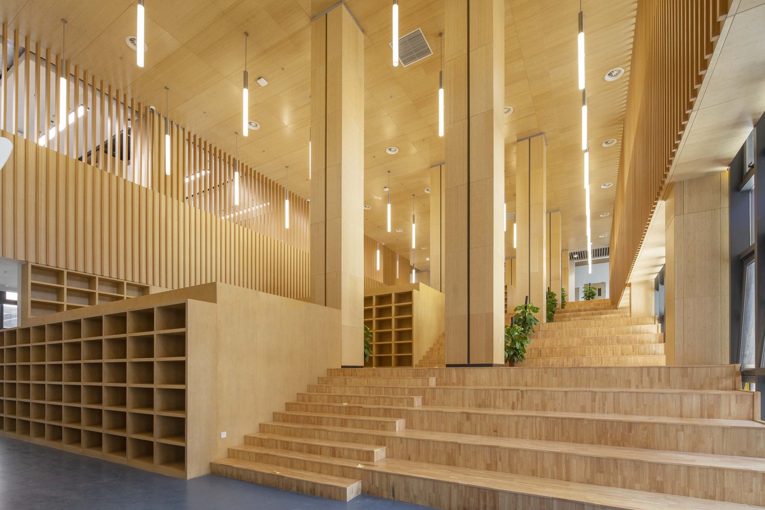 深圳中学（泥岗校区）-32