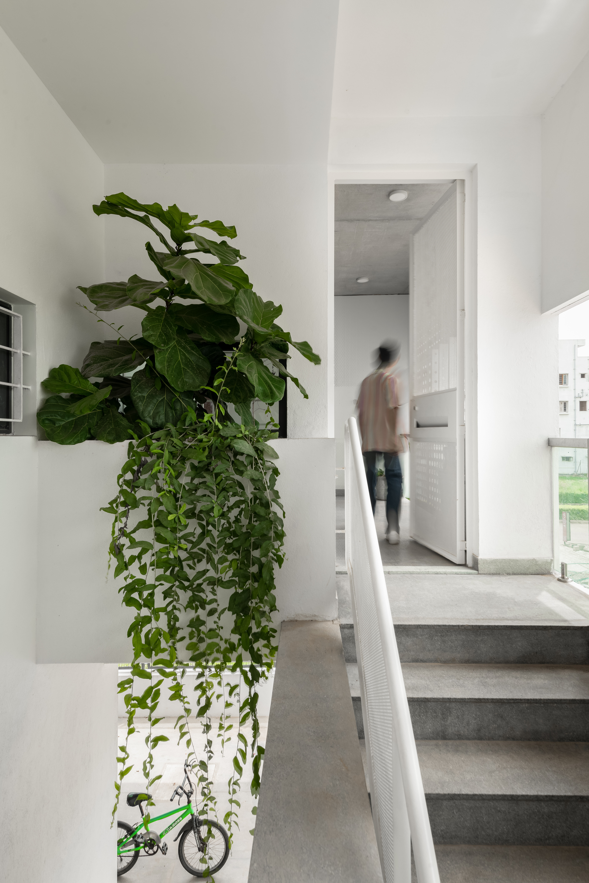 明晰之屋丨印度班加罗尔丨ma+rs-30