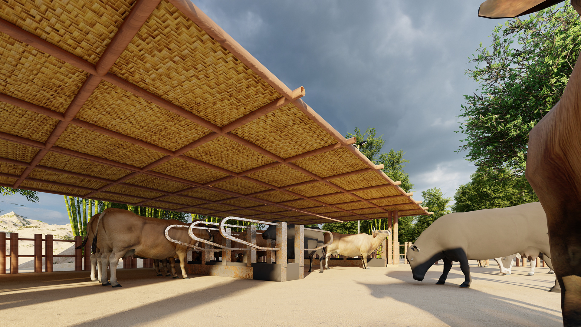 巴基斯坦灾后重建计划-17