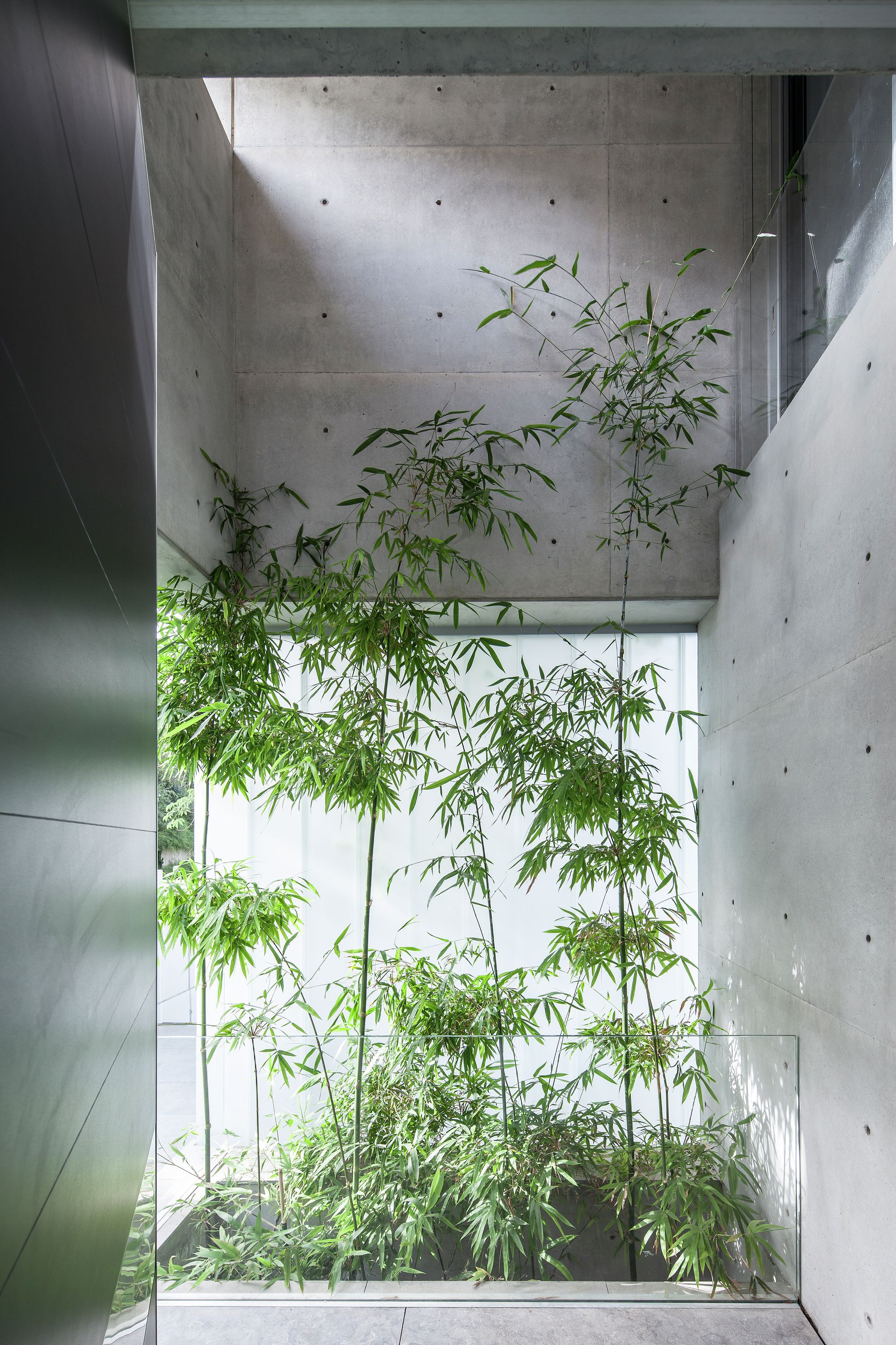 割裂与连接 | 混凝土与玻璃的共生之作-38