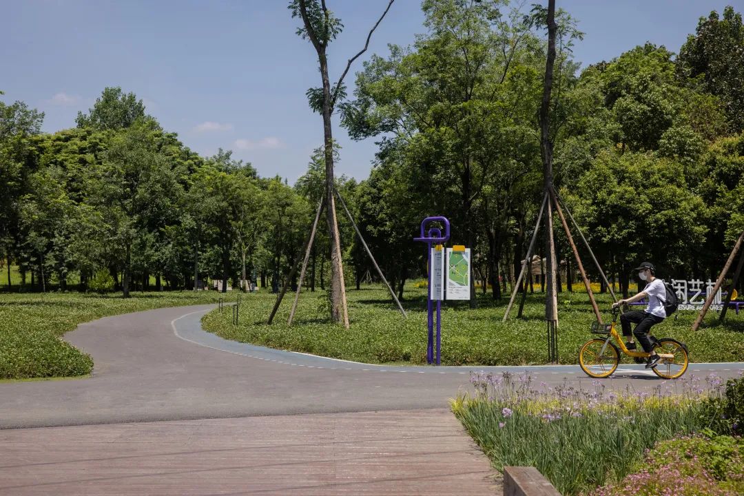 天府绿道·悦动彩林｜良相设计-15