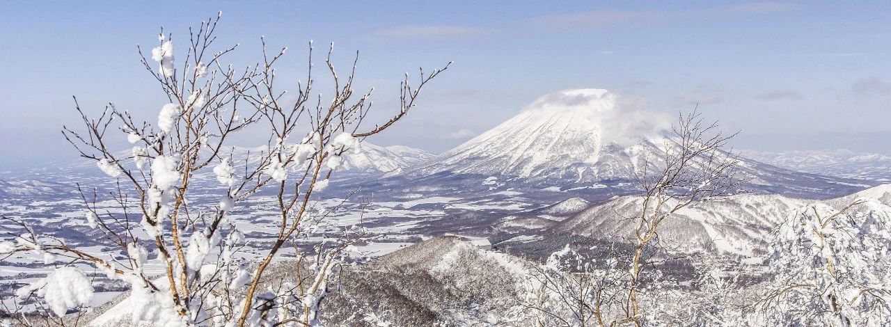 澳洲BAR Studio 2020年北海道柏悦酒店-7