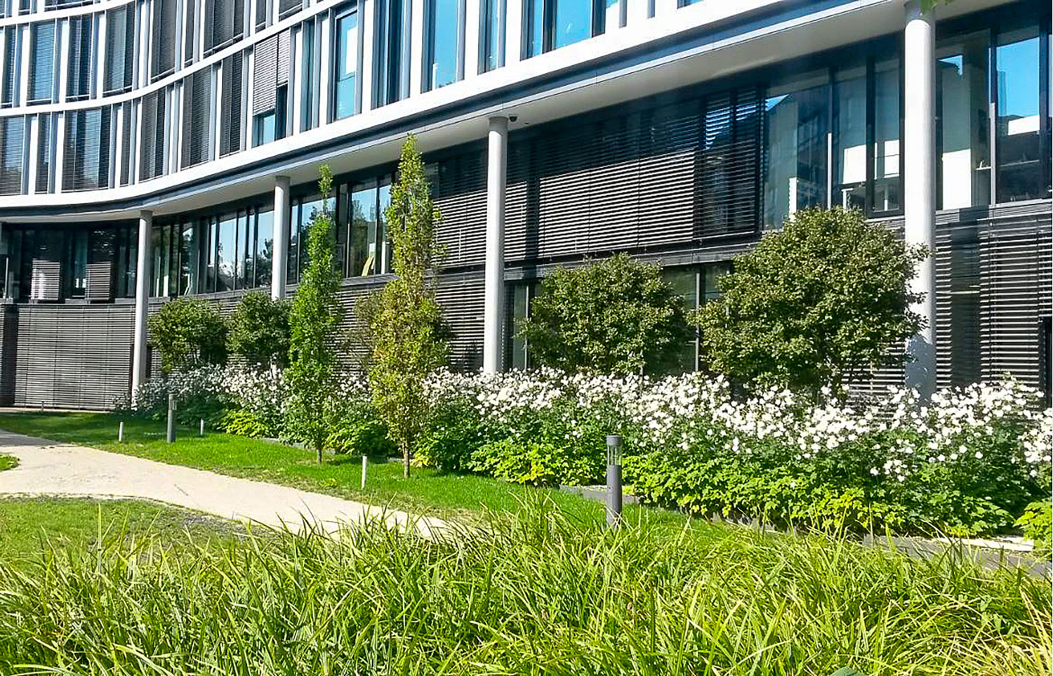 Munich Arabeska 公园式办公空间,融入自然的设计理念-25