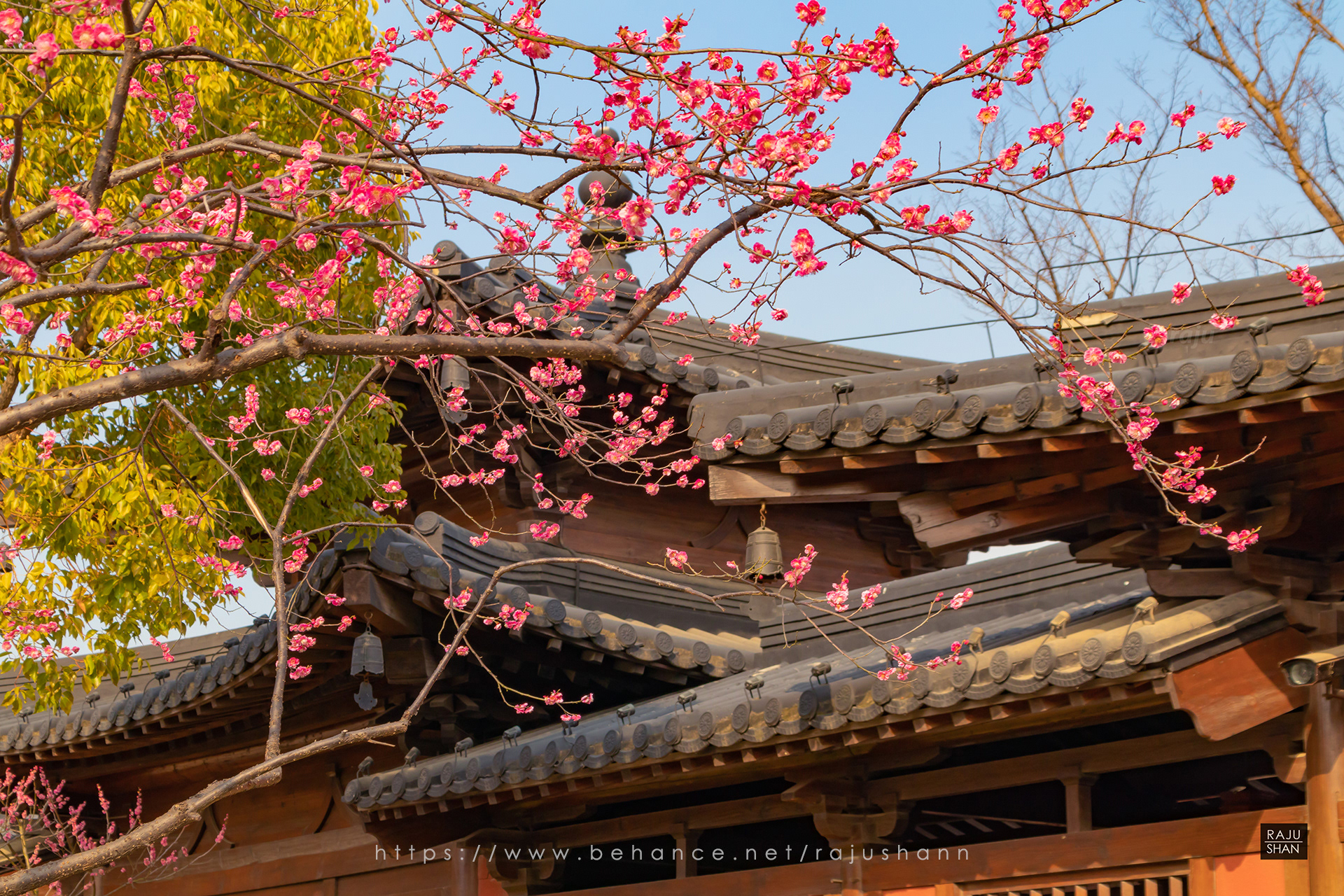 广富林文化遗址公园丨中国上海-68