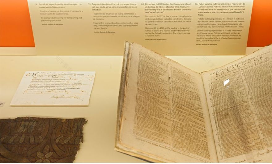 SALVADORIANA科学藏品展丨西班牙巴塞罗那丨emiliana design studio-6