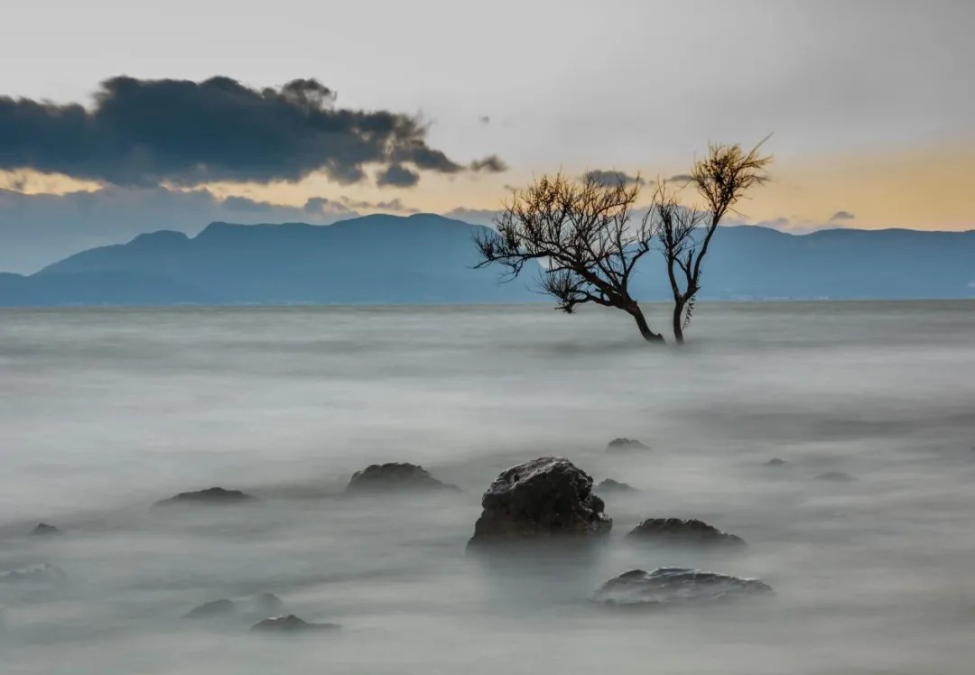  上海日清景观丨昆明招商 · 依云国际社区  景观设计  丨中国云南-7