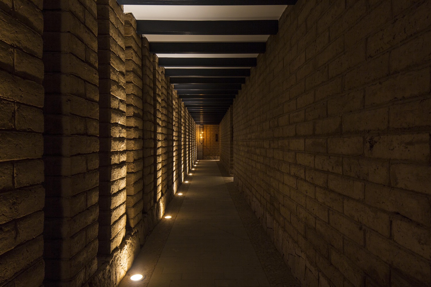 Tierra Adentro Wines（Tierra Adentro 葡萄园餐厅）-63