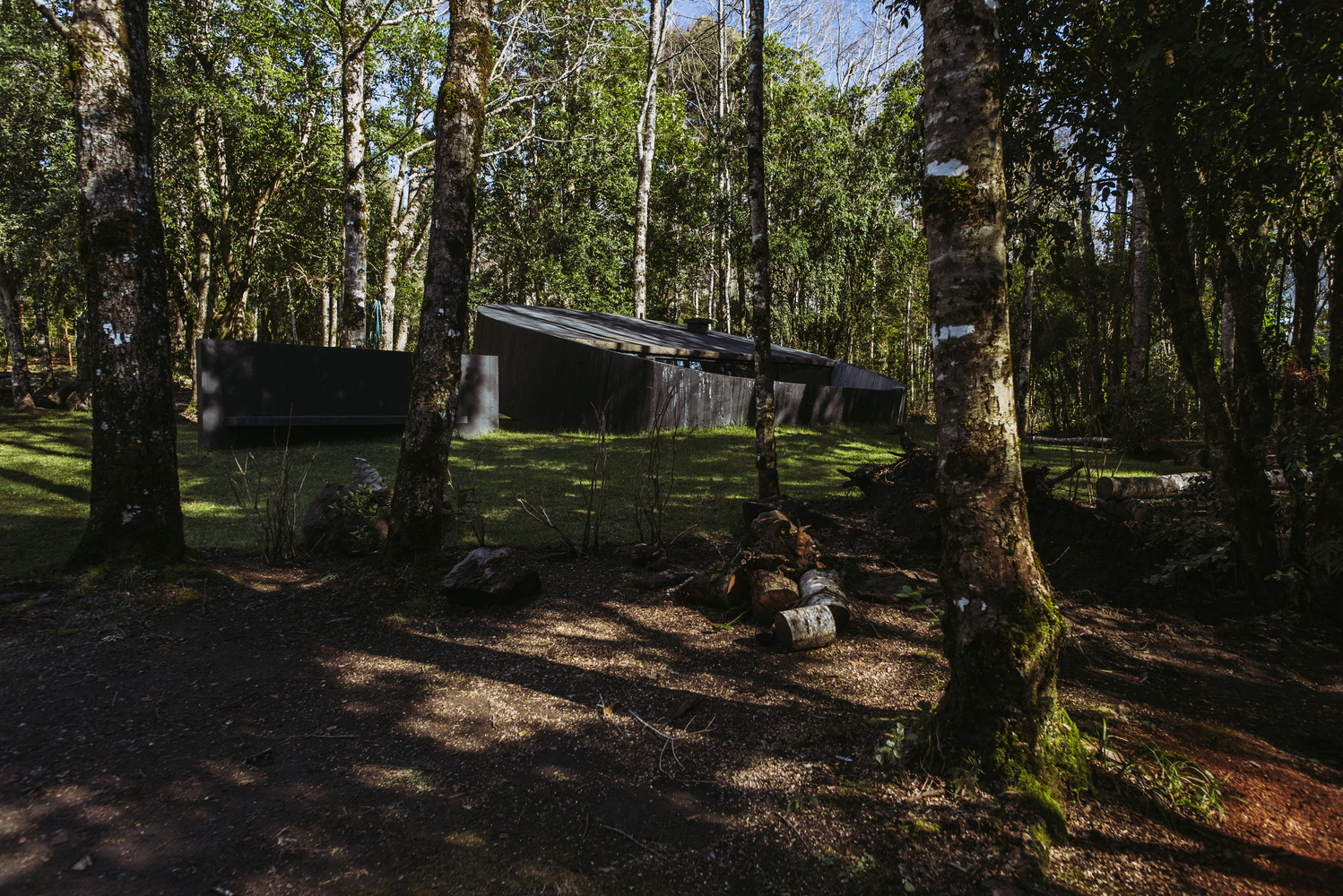 智利森林中的 Moholy 冥想空间丨José Peña-33