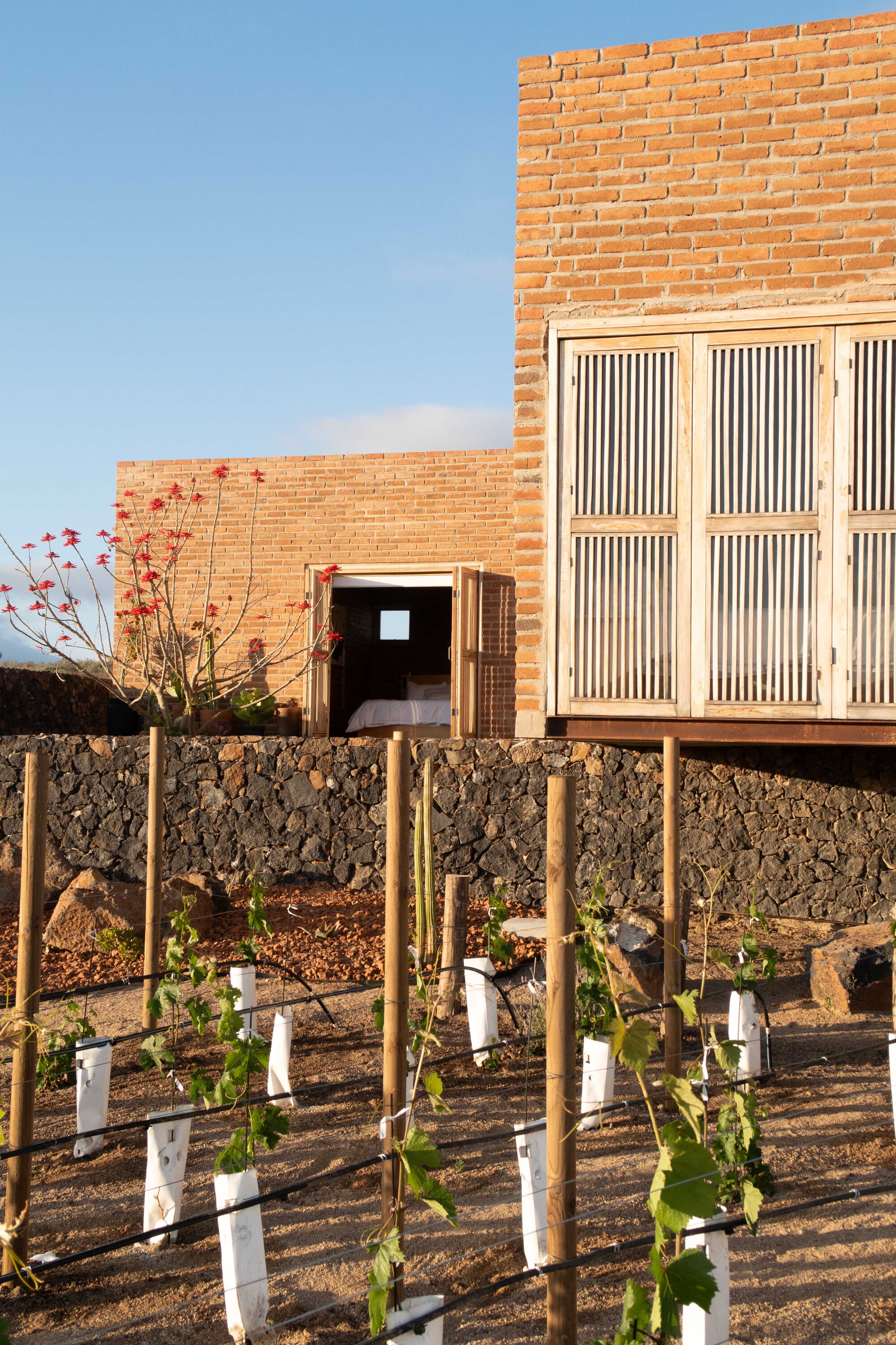 乡村民宿丨墨西哥丨SANTOS BOLIVAR,Dosa studio-32