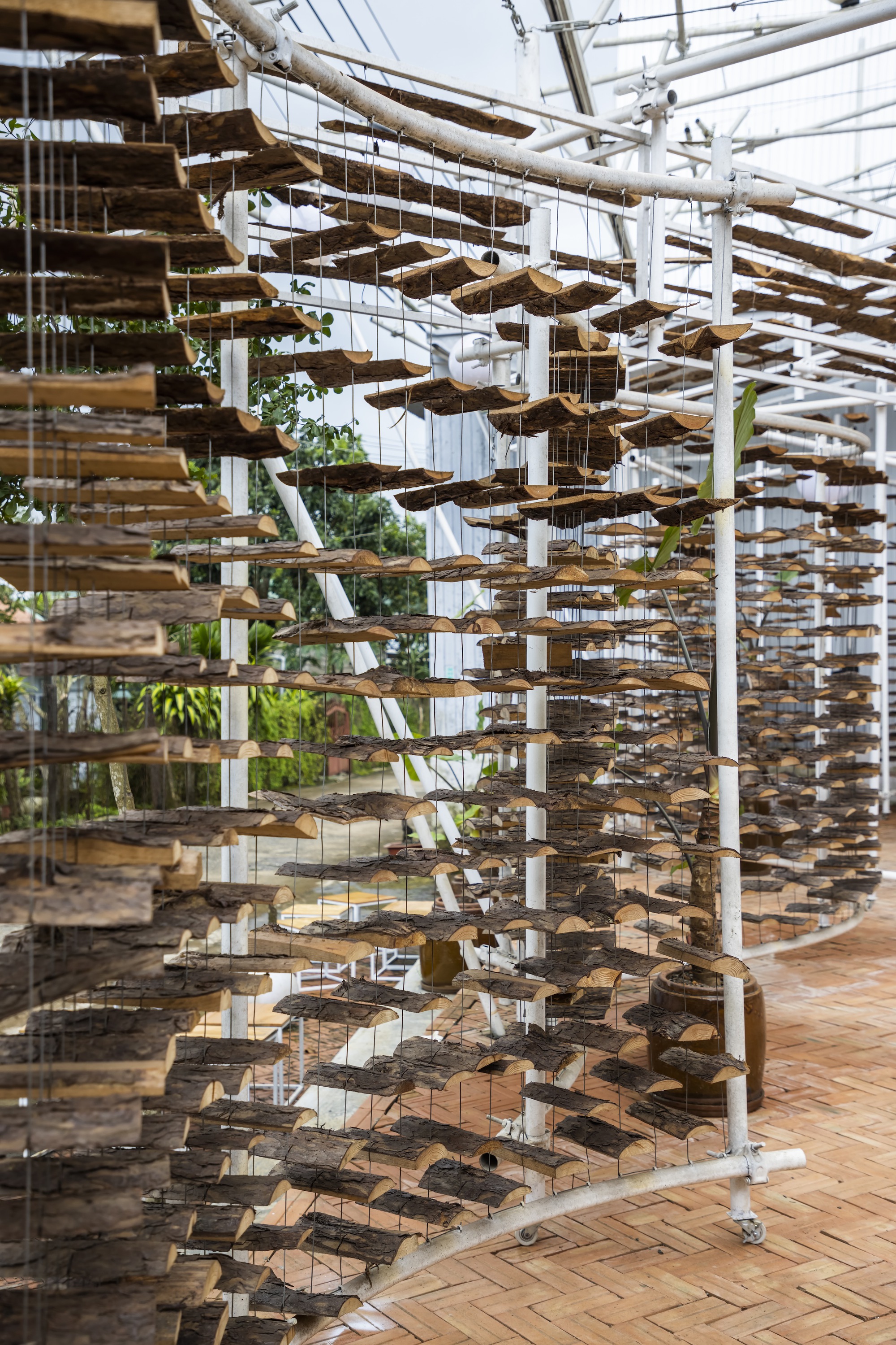 采茶，开花丨越南-47