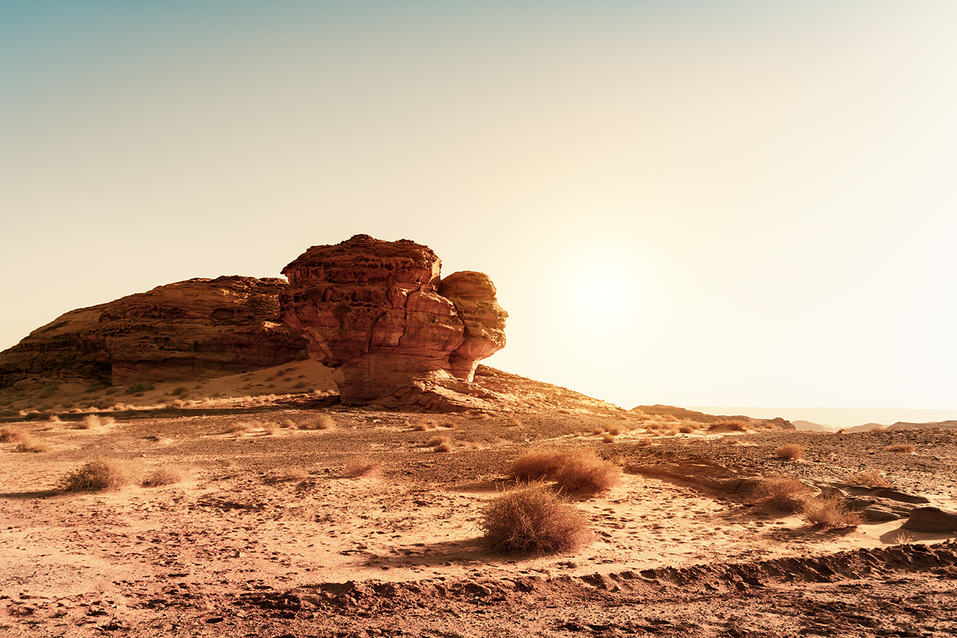 Face Rock 景观设计丨沙特阿拉伯-5