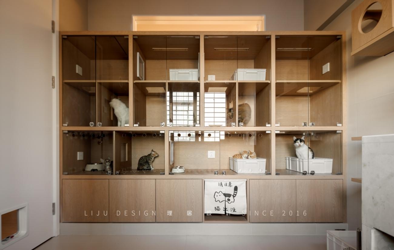63㎡老房爆改流浪猫之家丨中国厦门丨理居设计-19