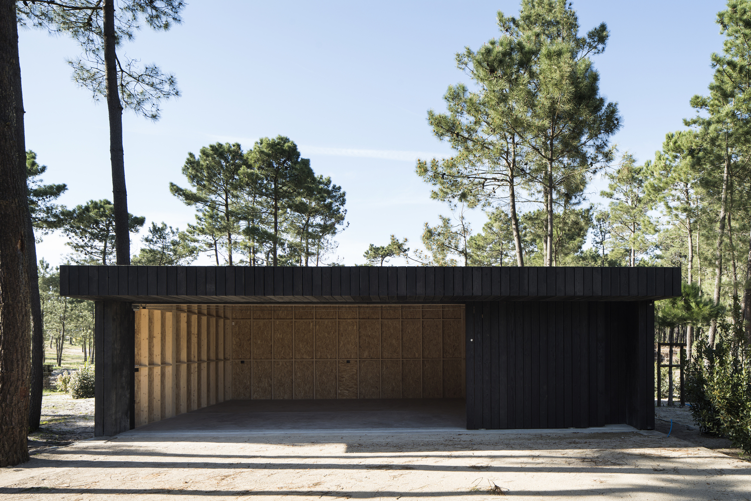 葡萄牙林中的两个黑色小屋-9