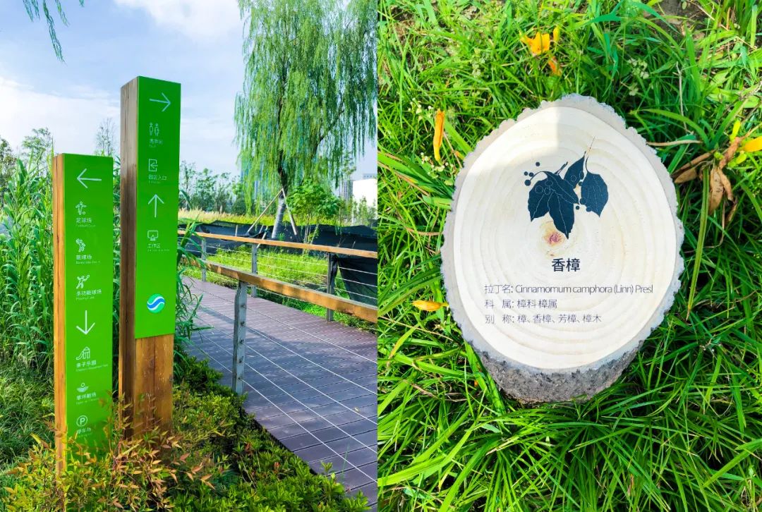 钱塘生态公园 | 海绵城市理念的绿色景观-31