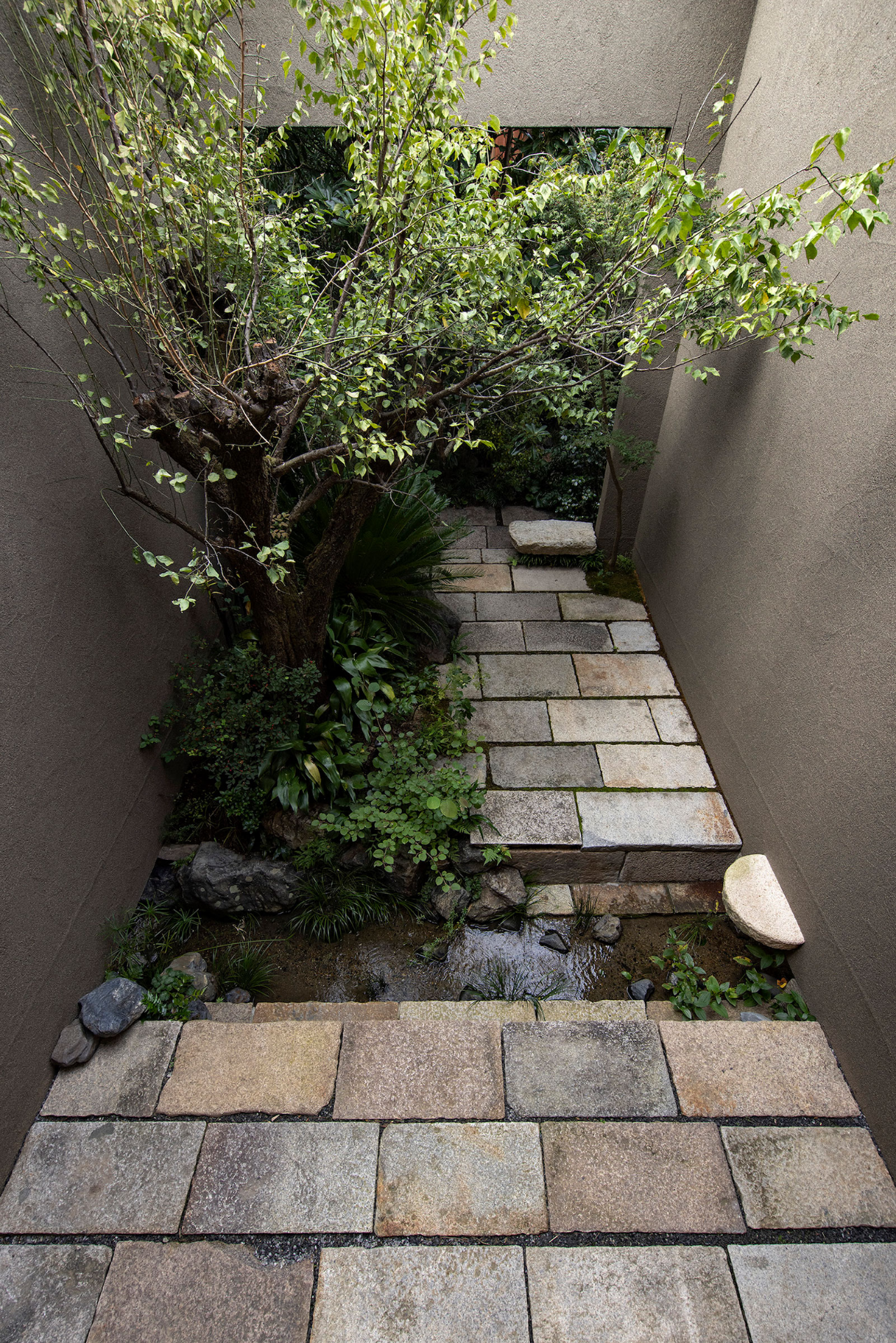 日本京都“花园屋”别墅设计-35