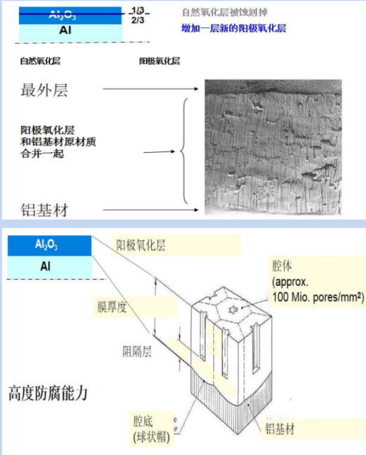 幕墙材料——为建筑披上美丽的外衣-16