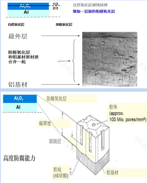 幕墙材料——为建筑披上美丽的外衣-16