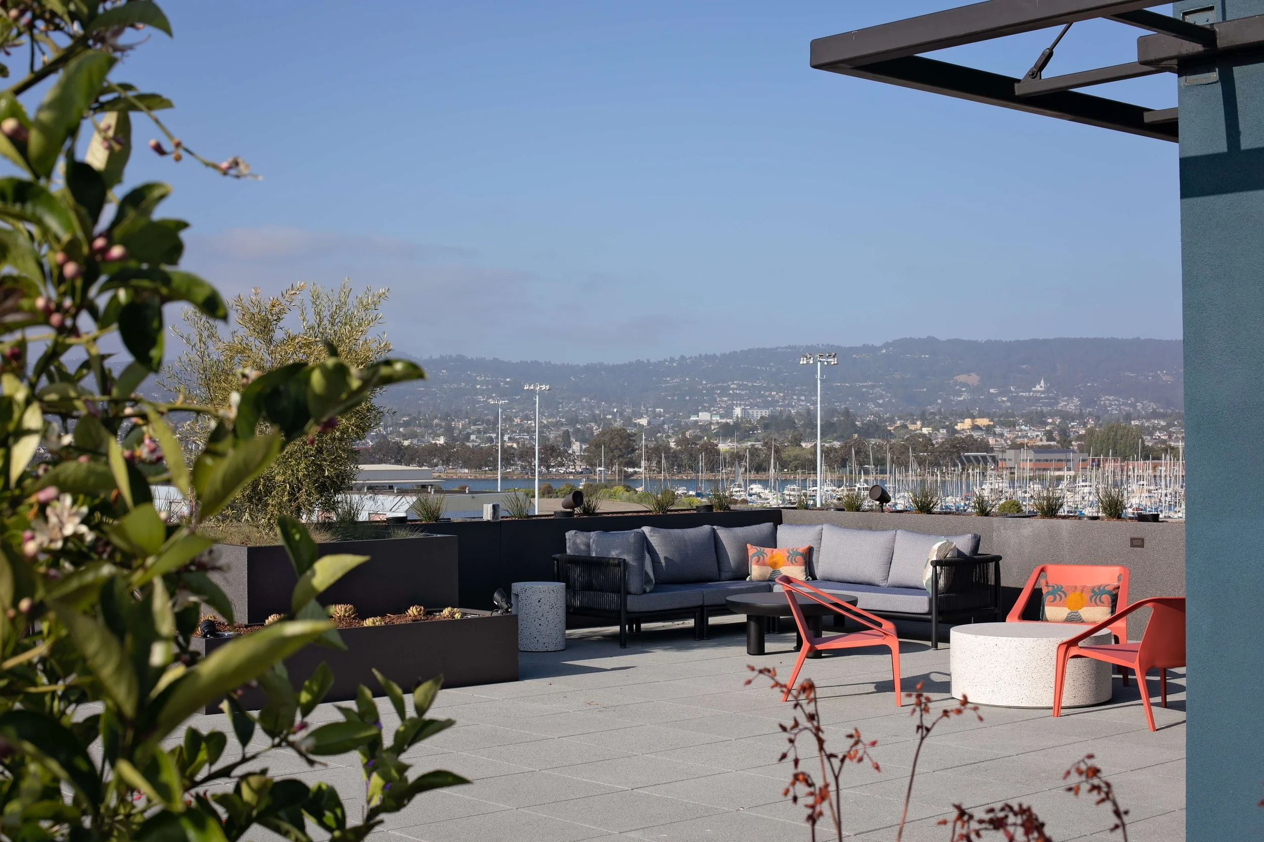 丨美国加利福尼亚丨Vida Design-68