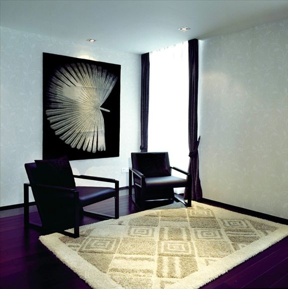 康郡风笛洲.别墅样板房-4