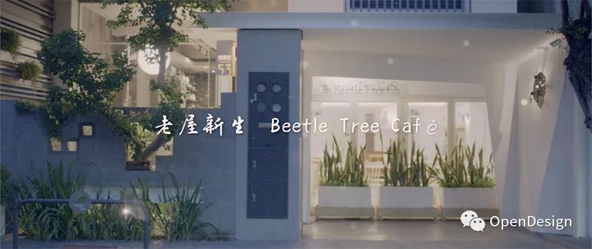高雄老屋新生,以樂設計的 Beetle Tree Café-36