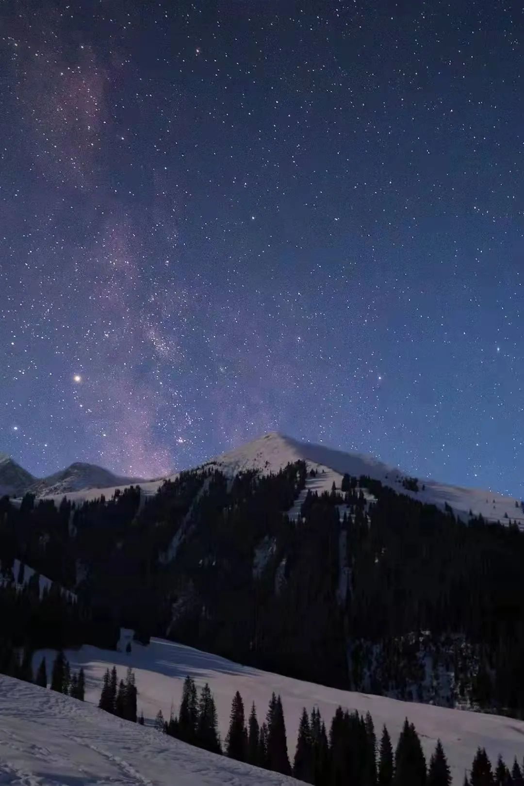 博仁设计 | 新疆民宿 融于自然的野奢木屋-12