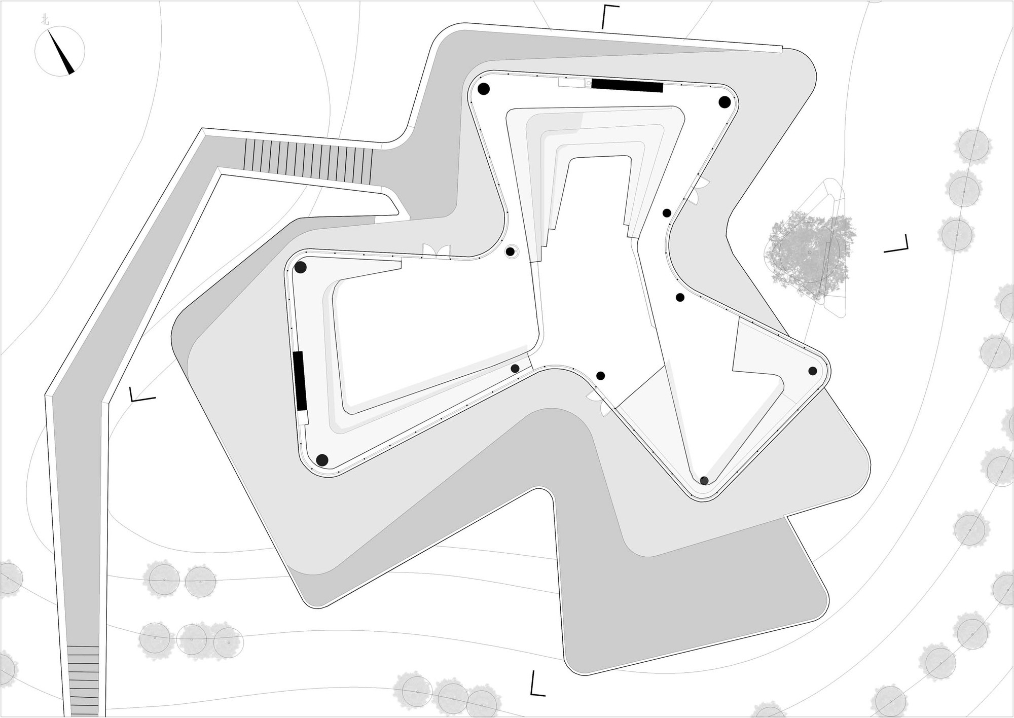 河源高级中学学生俱乐部-24