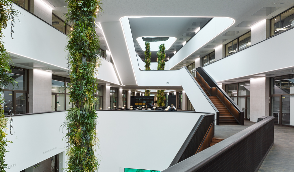 瑞士厂房改造-26