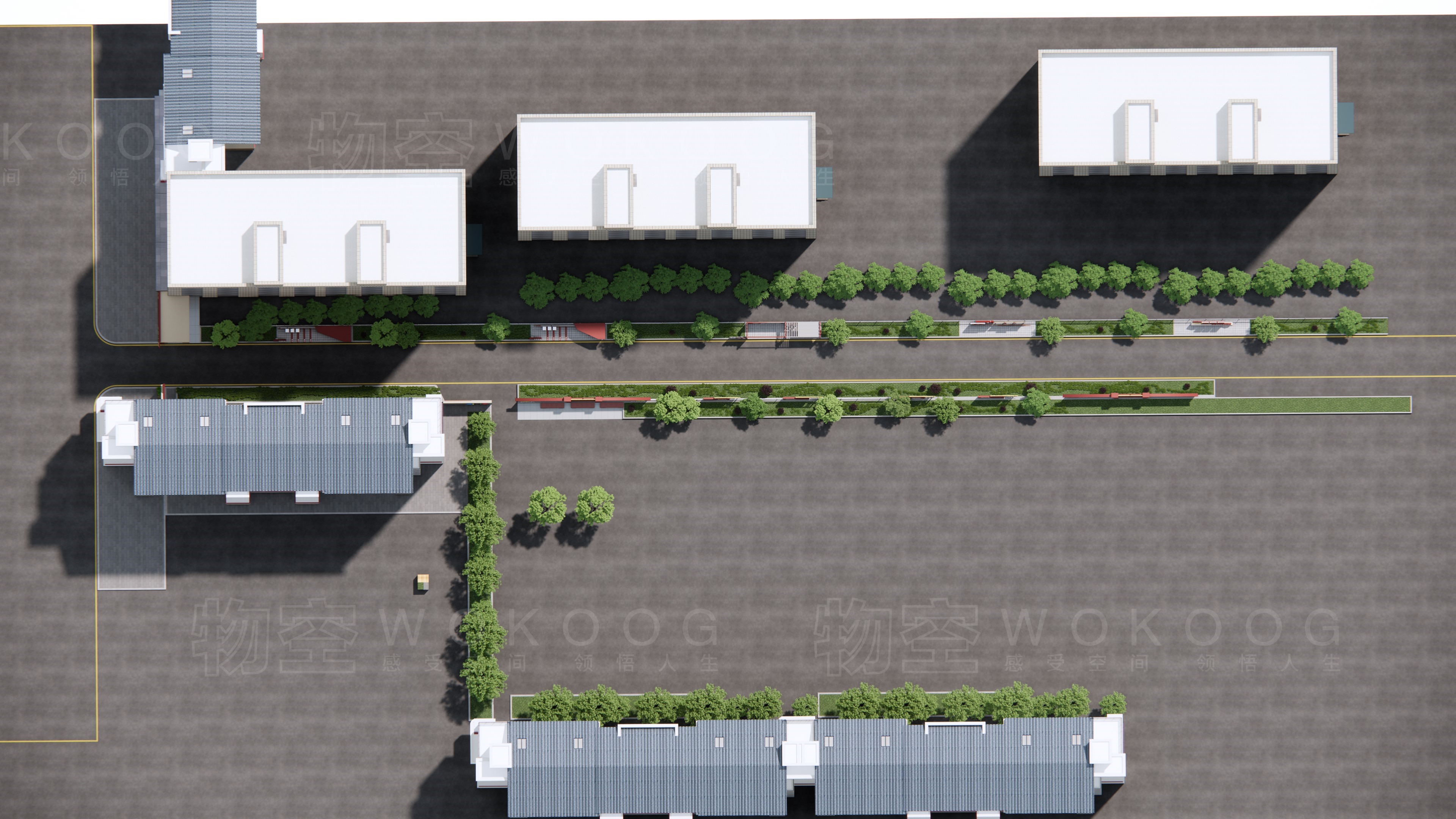 红军小学口袋园地-14